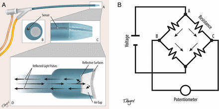 Figure 4